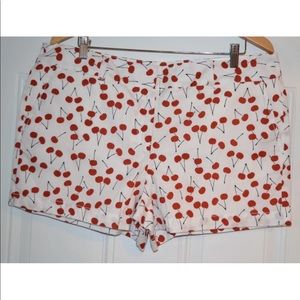 NWT Loft Outlet White Cherry Print Shorts Size 14